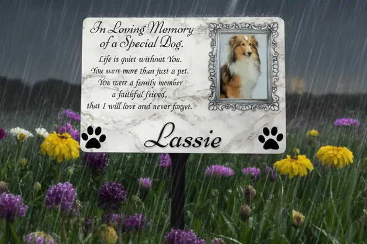 Pet Bereavement: Gentle Ways to Remember Them