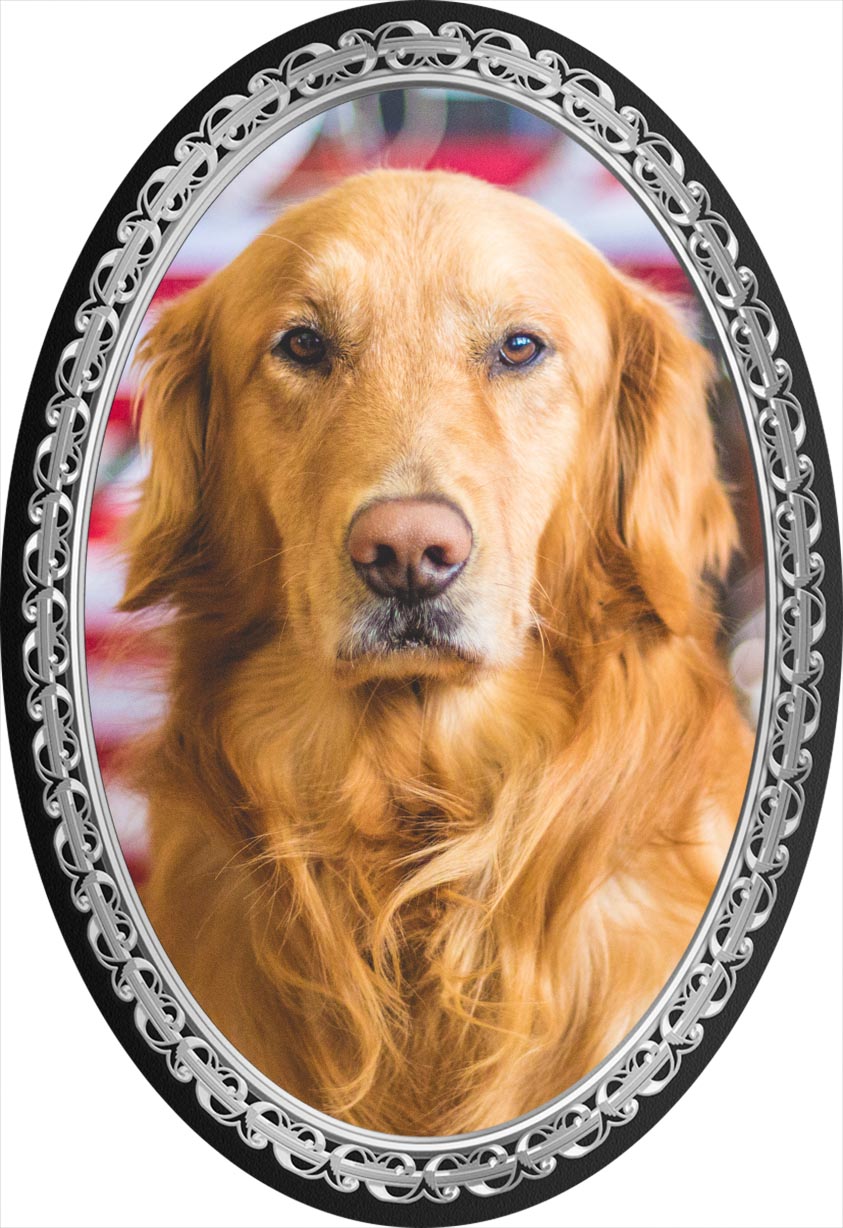 Silver Metal Memorial Photo Plaque for Headstone, Vase, Urn Waterproof UV Protection